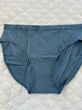 NWT size XXL Victoria's Secret Slate Blue high leg brief pantie